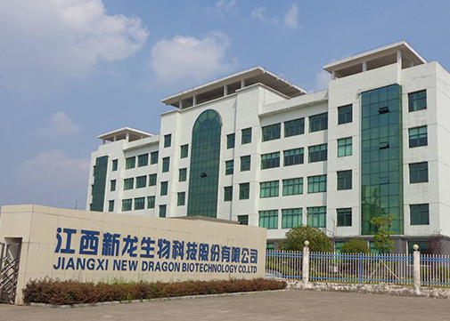 公司介绍