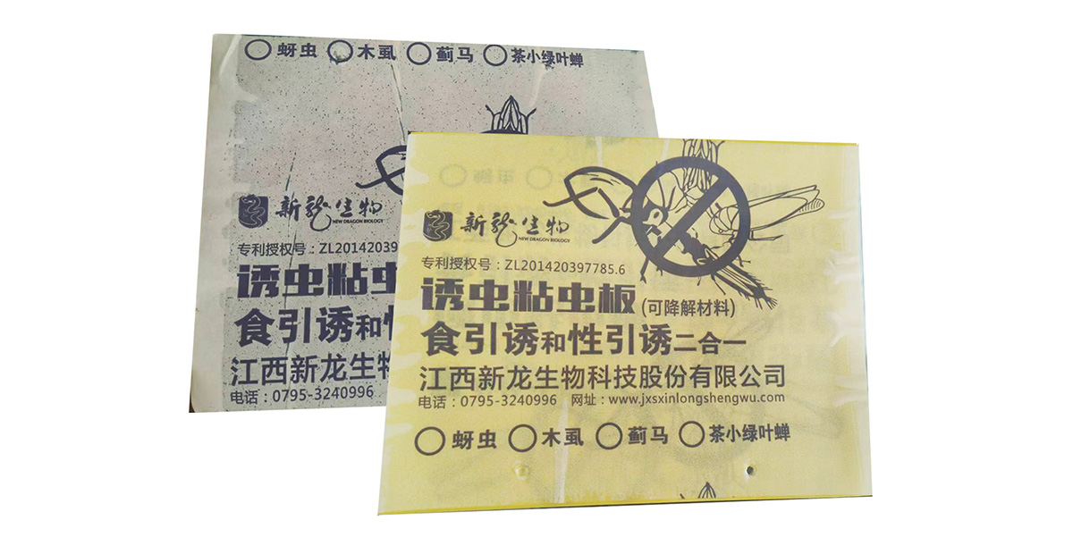 粘虫板